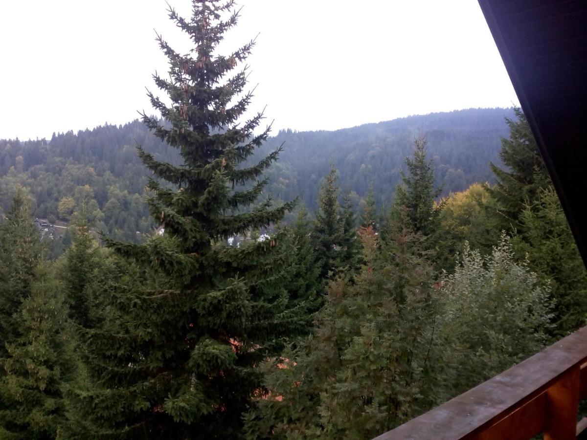 Apartments Holiday Home Srce Kopaonik Esterno foto